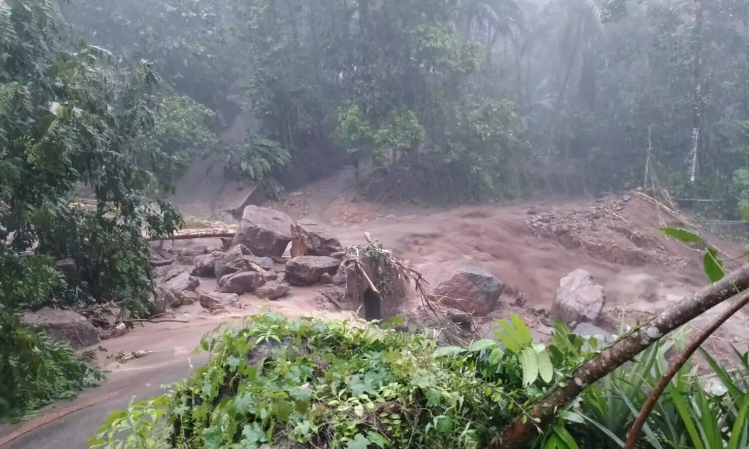 കോട്ടയത്തെ മലയോരമേഖലയിൽ ഉരുൾപൊട്ടലും മണ്ണിടിച്ചിലും