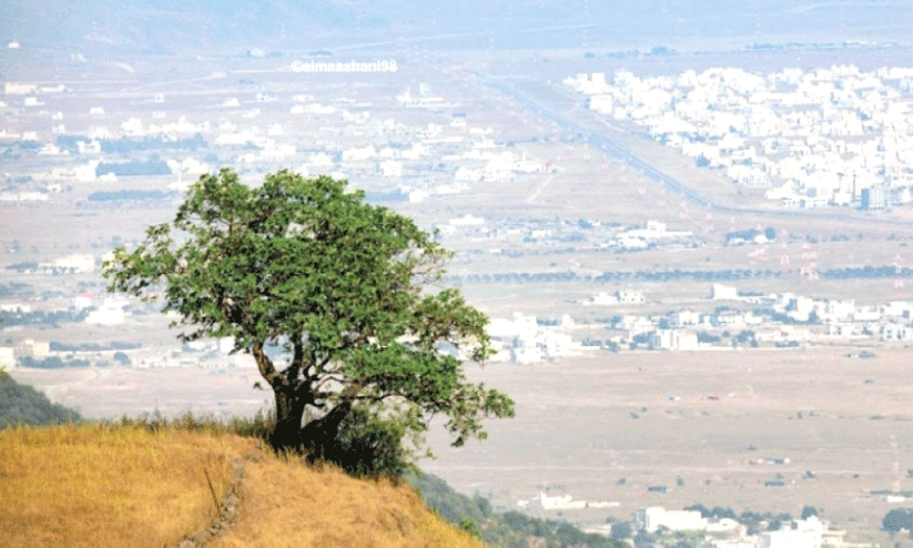 സർബ് സീസണിന് തുടക്കം; സഞ്ചാരികളെ കാത്ത് സലാല സർബ് സീസണിന് തുടക്കം; സഞ്ചാരികളെ കാത്ത് സലാല