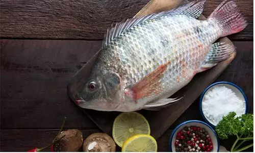 വേവിക്കാത്ത തിലാപ്പിയ മീൻ കഴിച്ച യുവതിയുടെ കൈകാലുകൾ മുറിച്ചുമാറ്റി