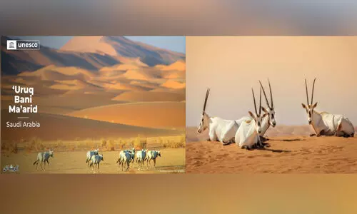 ഉ​റൂ​ഖ്​ ബ​നീ മ​ആ​രി​ദ്