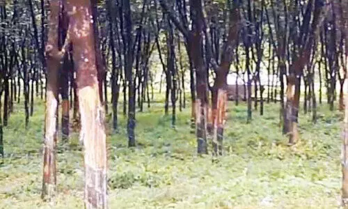 aralam farm aralam farm