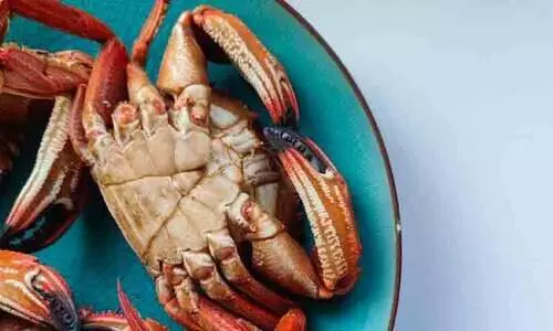 സിംഗപ്പൂരിൽ ഞണ്ട് ഫ്രൈ കഴിക്കാൻ ഈടാക്കിയത് 56,000 രൂപ; ബില്ല് കണ്ട് ഞെട്ടി പൊലീസിനെ വിളിച്ച് ജാപ്പനീസ് വിനോദ സഞ്ചാരി