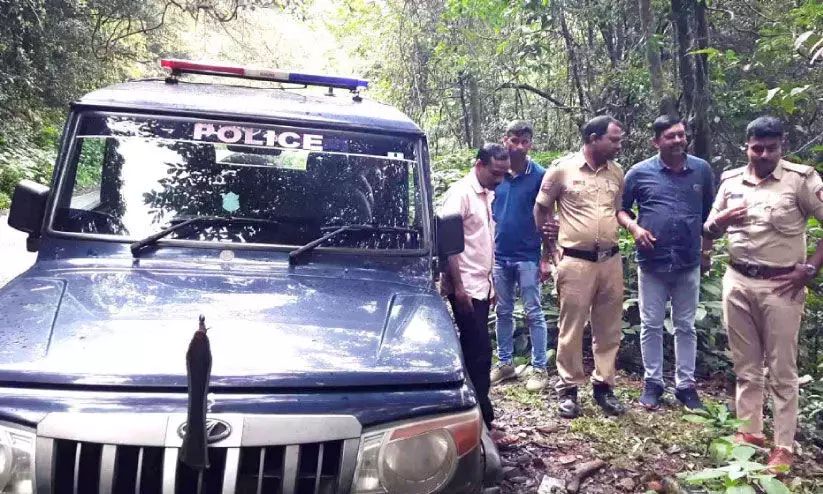 murder case murder case