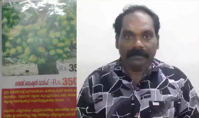 മണ്ണുത്തി ഫാമിന്റെ പേരിൽ 1.20 കോടി തട്ടിയ കേസിൽ പ്രതി പിടിയിൽ; മലേഷ്യൻ കുള്ളൻ തൈ ഉൾ​പ്പെടെ വാഗ്ദാനം ചെയ്താണ് തട്ടിപ്പ്