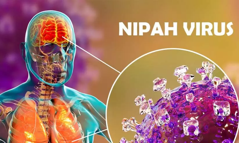 Nipah virus Nipah virus