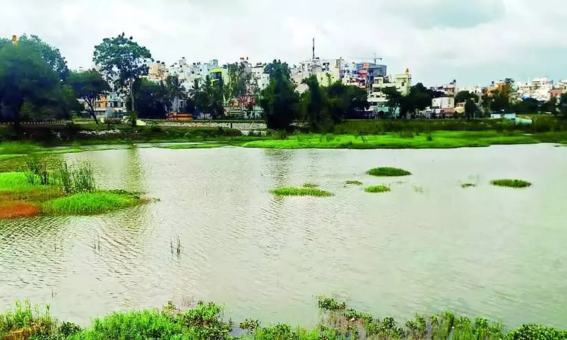 Cauvery Dispute Cauvery Dispute