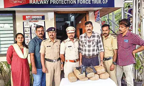 തിരൂരിൽ ട്രെയിനിൽനിന്ന് 14 കിലോ കഞ്ചാവ് പിടികൂടി