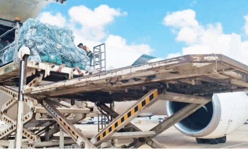 ദു​രി​ത​ബാ​ധി​ത​ർ​ക്കു​ള്ള സ​ഹാ​യ​വു​മാ​യി സൗ​ദി അ​റേ​ബ്യ​യു​ടെ അ​ഞ്ചാ​മ​ത്തെ വി​മാ​നം ലി​ബി​യ​യി​ലെ​ത്തി​യ​പ്പോ​ൾ