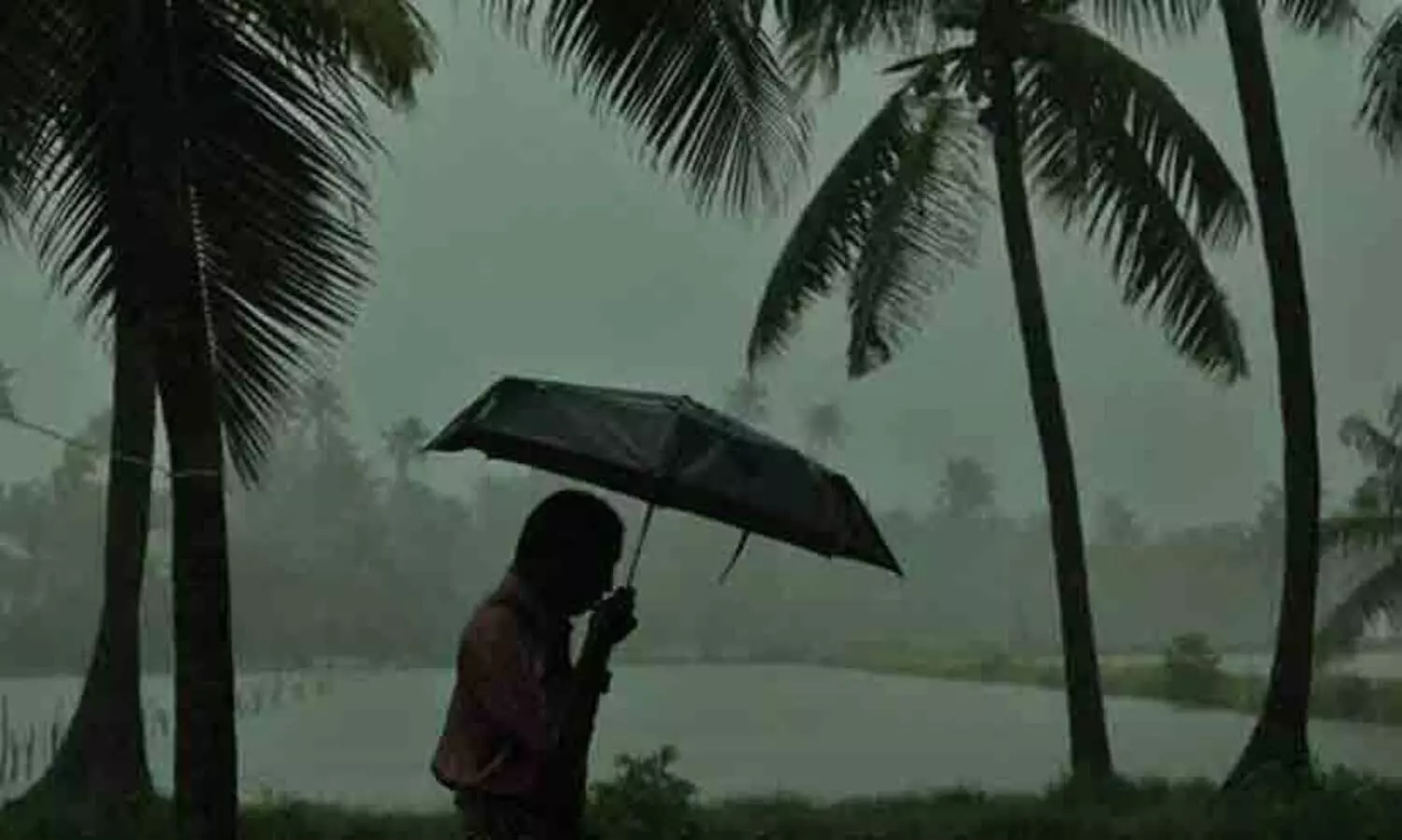 കേരളത്തിൽ മഴ ശക്തമാവും; ജാഗ്രത നിർദേശം,  ജില്ലകളിൽ യെല്ലോ അലർട്ട്