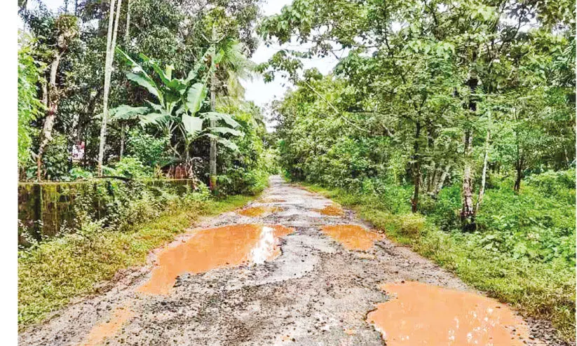 തകർന്ന് മുളിപ്പറമ്പ് - തെക്കേകര റോഡ് ദുരിതമൊഴിയാതെ നാട്ടുകാര് തകർന്ന് മുളിപ്പറമ്പ് - തെക്കേകര റോഡ് ദുരിതമൊഴിയാതെ നാട്ടുകാര്