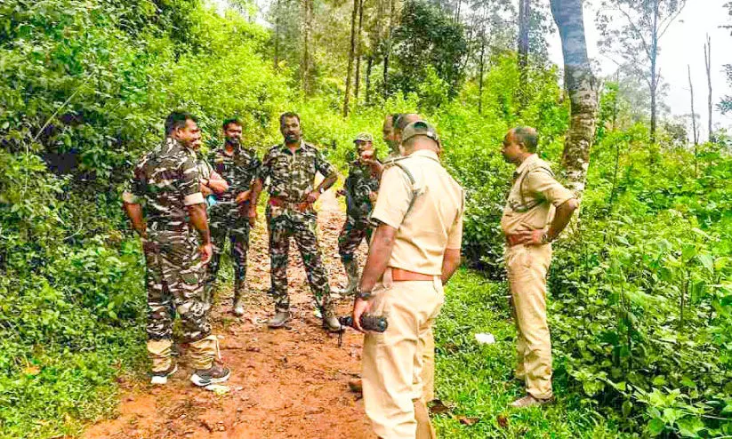 മൃഗവേട്ട: വനാതിർത്തിയിലെ തോട്ടങ്ങളിൽ വനപാലകരുടെ പരിശോധന