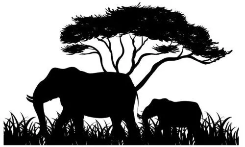 കാ​ട്ടാ​ന​പ്പേ​ടി​യി​ല്‍ ഉ​റ​ക്കം ന​ഷ്ട​പ്പെ​ട്ട് മ​ല​യോ​ര ജ​ന​ത