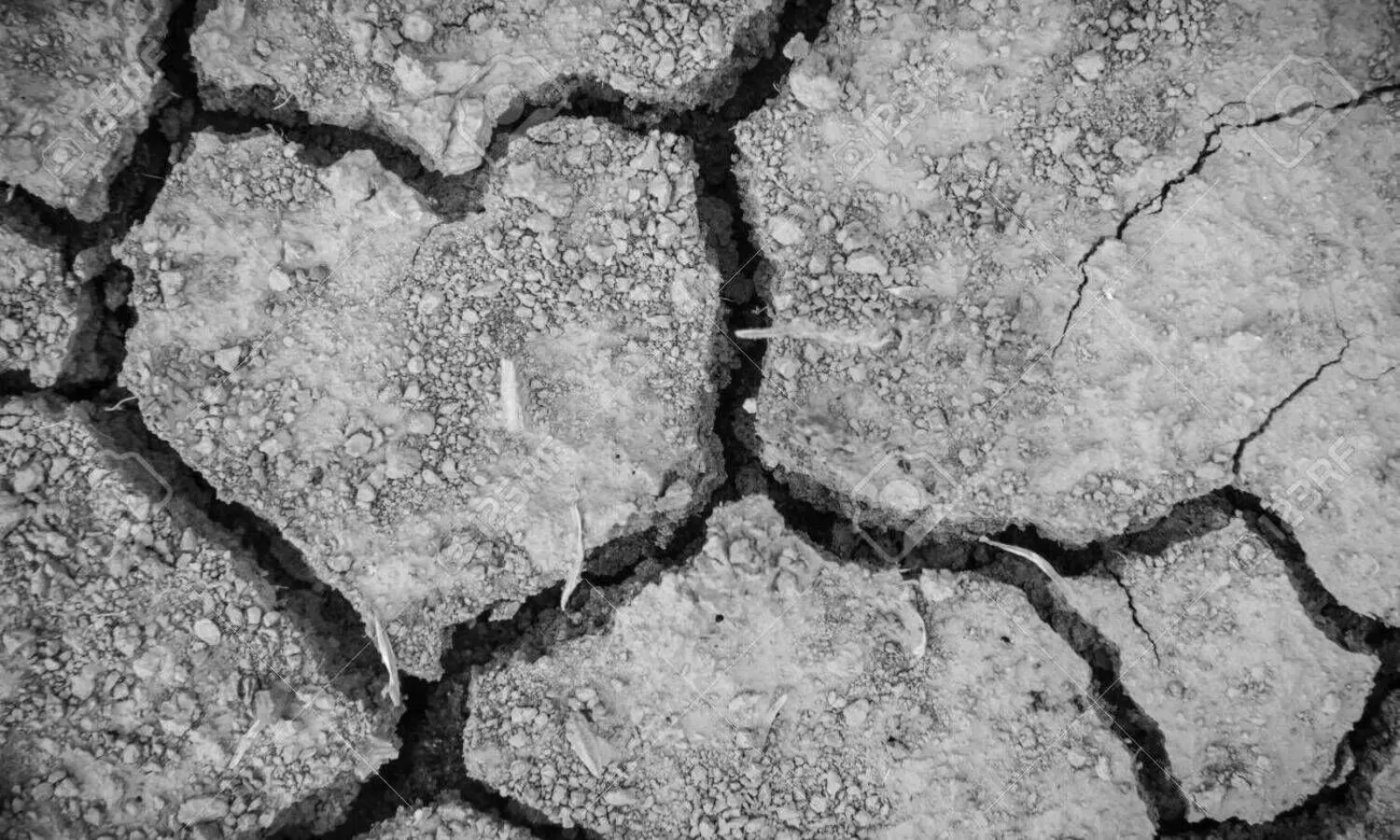 മറച്ചുപിടിയ്ക്കൽ