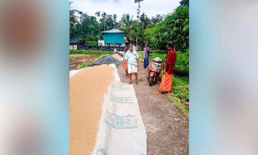 Civil Supplies Civil Supplies