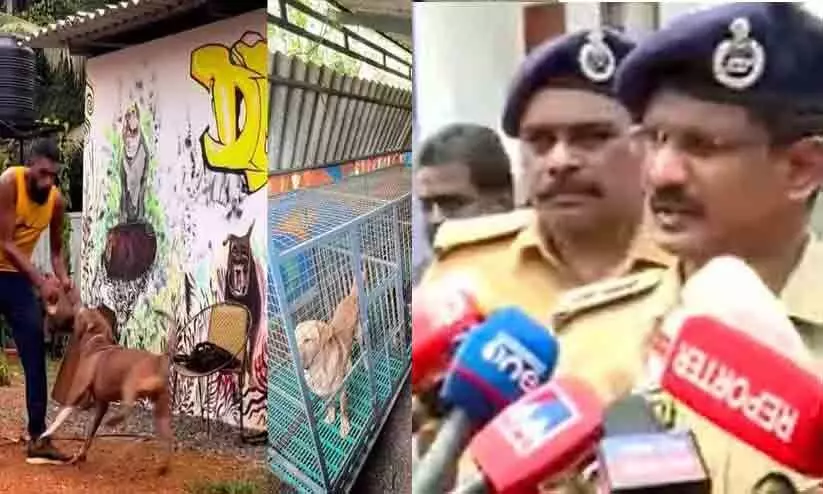 Selling cannabis under the guise of training dogs Selling cannabis under the guise of training dogs