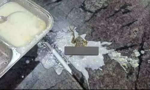 ഹോസ്റ്റൽ ഭക്ഷണത്തിൽ ചത്ത തവളയെ കണ്ടെത്തി