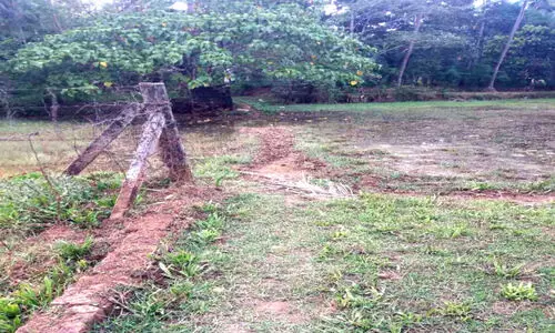 Kummangodu Agricultural Field