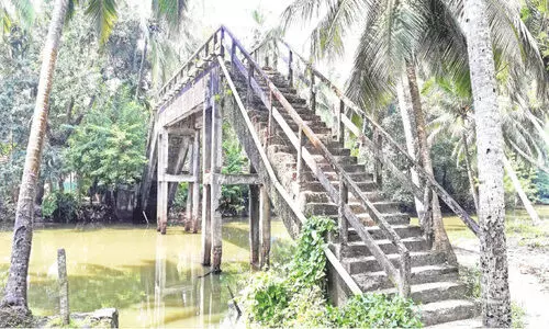 ചി​ങ്ങ​നാ​ത്ത് ക​ട​വി​ലെ ചീ​ർ​പ്പ് പാ​ലം