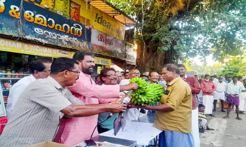 സമരവാഴക്കുലക്ക്​ ലേലത്തിൽ കിട്ടിയത്​ 17,150