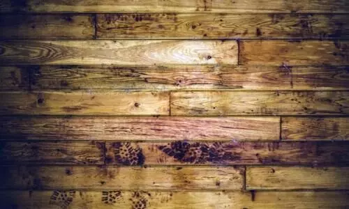 കോയിപ്പൊത്ത്