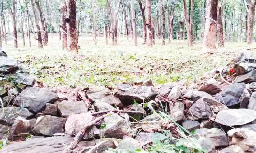 മ​ഴ​ക്കെ​ടു​തിയിൽ വ​ഴി​മു​ട്ടി മ​ല​യോ​ര ക​ർ​ഷ​ക​രു​ടെ ജീ​വി​തം