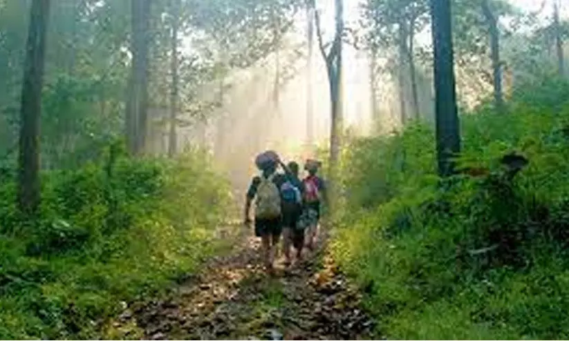 പരമ്പരാഗത കാനനപാത തീർഥാടകർക്ക്​ തുറന്നു നൽകണമെന്നാവശ്യം