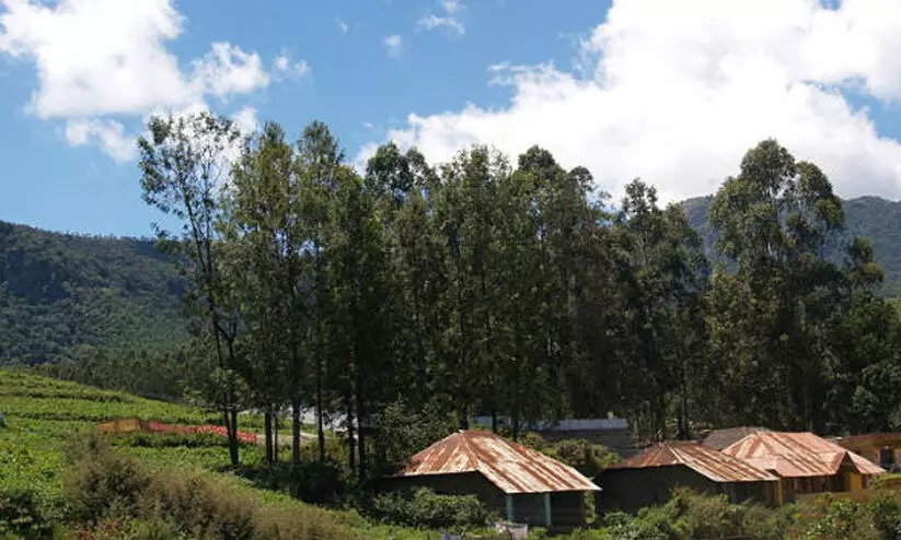 tourism village tourism village