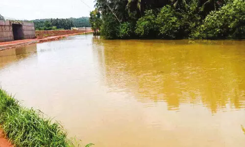 പാ​ട​ശേ​ഖ​ര​ത്തി​ന്റെ നെ​ഞ്ച് പി​ള​ർ​ത്തി റോഡ് നി​ർ​മാ​ണം; വെ​ള്ള​ക്കെ​ട്ടു​മൂ​ലം കൃ​ഷി​യി​റ​ക്കാ​നാ​കു​ന്നി​ല്ല