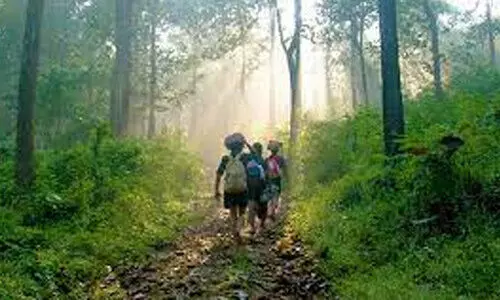 പരമ്പരാഗത കാനനപാത തീർഥാടകർക്ക്​ തുറന്നു നൽകണമെന്നാവശ്യം