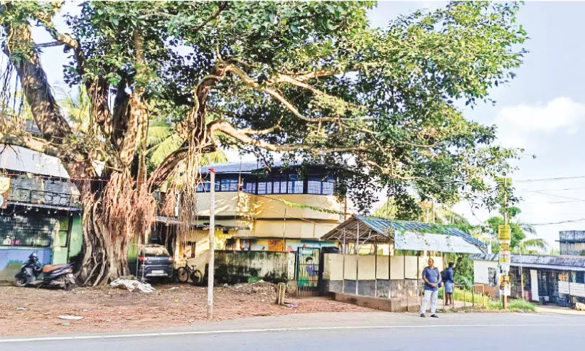 ആ​ൽ​മ​ര​ത്തി​നു താ​ഴെ അം​ഗ​ൻ​വാ​ടി പേ​ടി​യോ​ടെ അ​ധ്യാ​പി​ക​യും കു​ഞ്ഞു​ങ്ങ​ളും