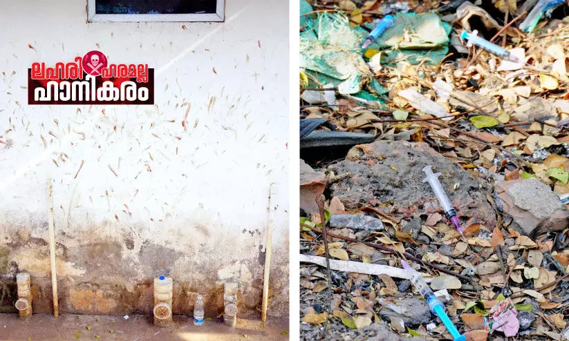 drugs addiction drugs addiction