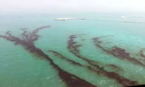 Kuwait Bay Kuwait Bay