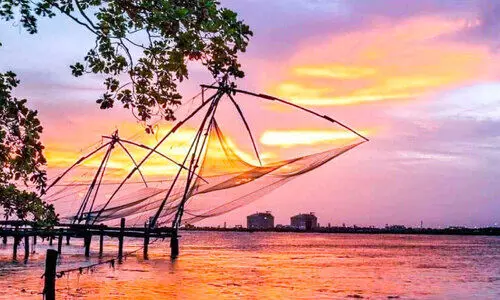 ചീ​ന​വ​ല​ക​ൾ മ​രി​ക്കു​ന്നു