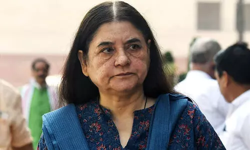 maneka gandhi