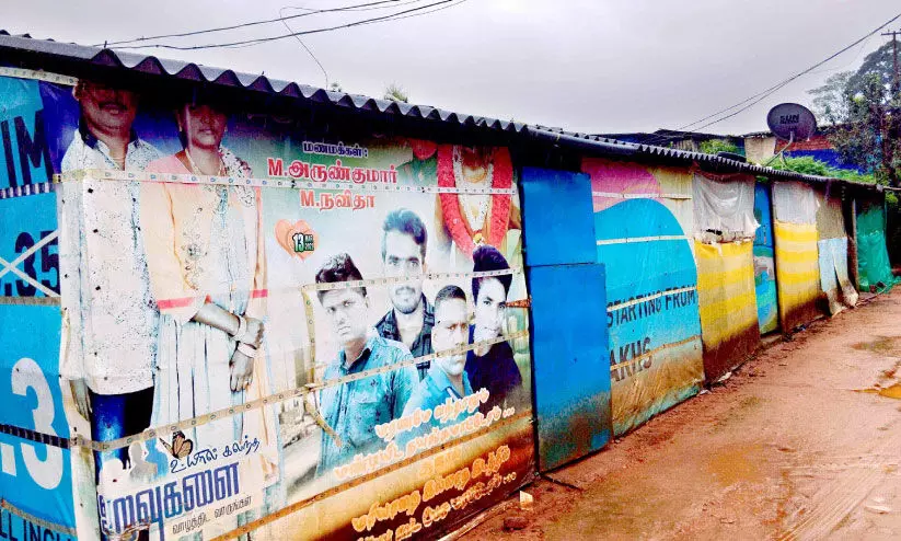 waterlogging waterlogging