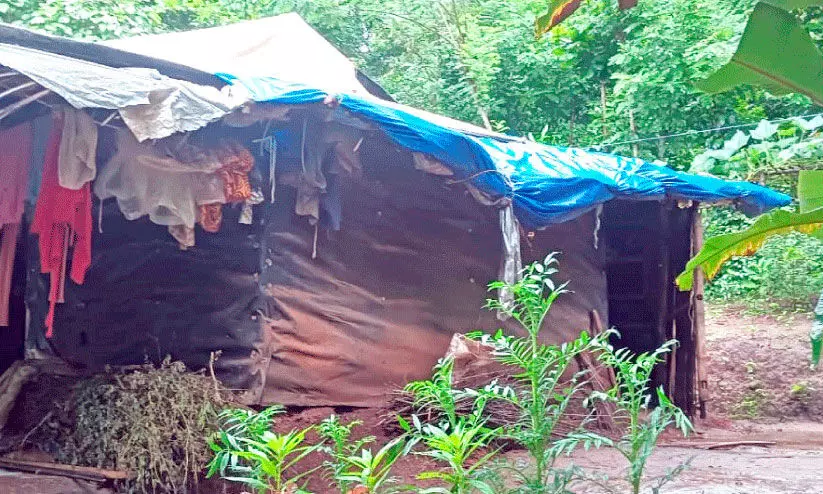 tribal land issue tribal land issue