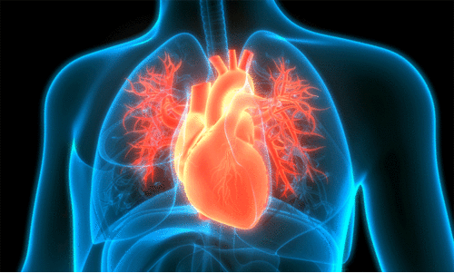 ഹൃ​ദ​യ​ത്തെ സൂ​ക്ഷി​ക്കാം, ന​ല്ല ആ​രോ​ഗ്യ​ത്തി​നാ​യി