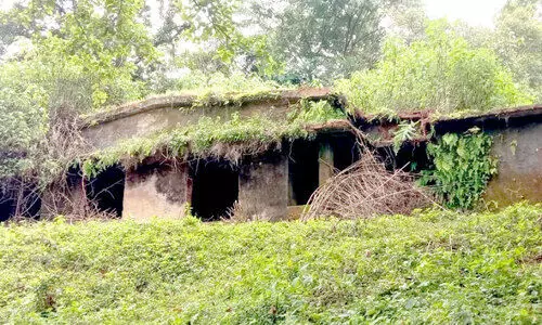 forest quarters forest quarters