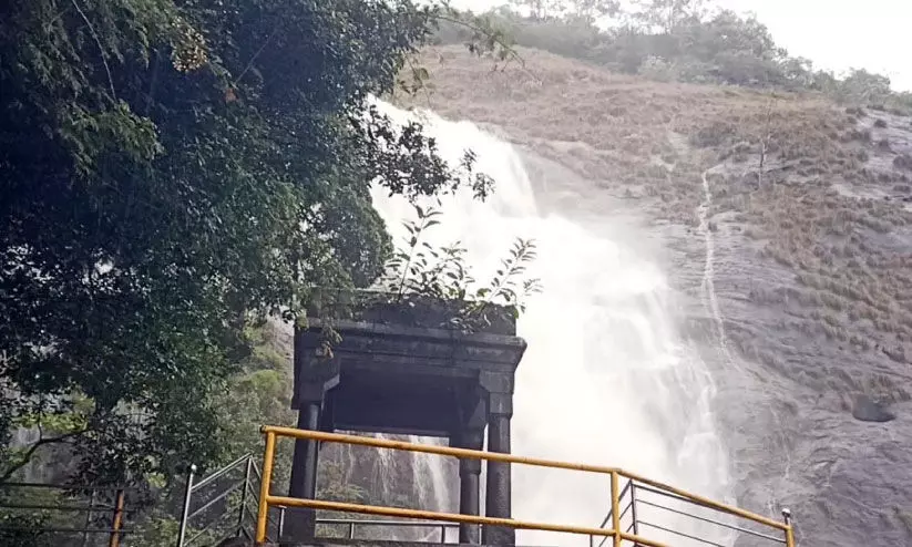 rain alert rain alert