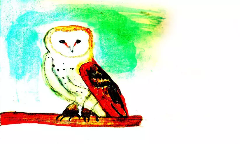 കഥ: വെള്ളിമൂങ്ങയും നക്ഷത്രങ്ങളും