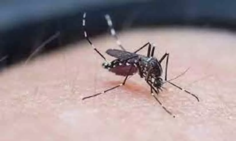 ബിഹാർ ഡെങ്കിപ്പനിയുടെ പിടിയിൽ: സെപ്റ്റംബറിൽ മാത്രം 6146 പേർക്ക് രോഗം റിപ്പോർട്ട് ചെയ്തു