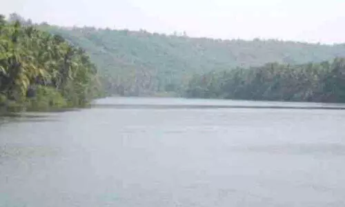 water fest water fest