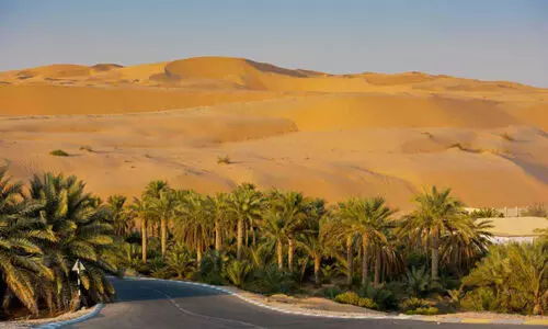 Liwa Oasis