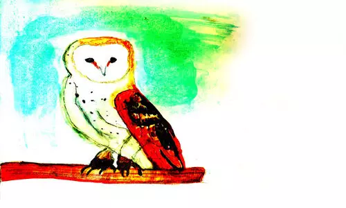 കഥ: വെള്ളിമൂങ്ങയും നക്ഷത്രങ്ങളും