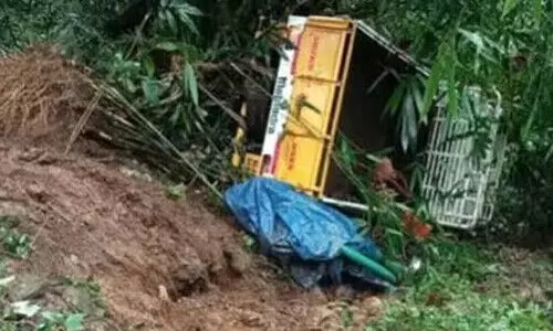 Pick up van overturns into in Adimali one killed