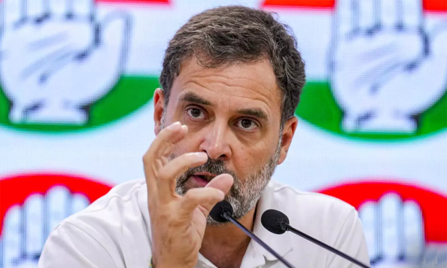 rahul gandhi in caste statistics