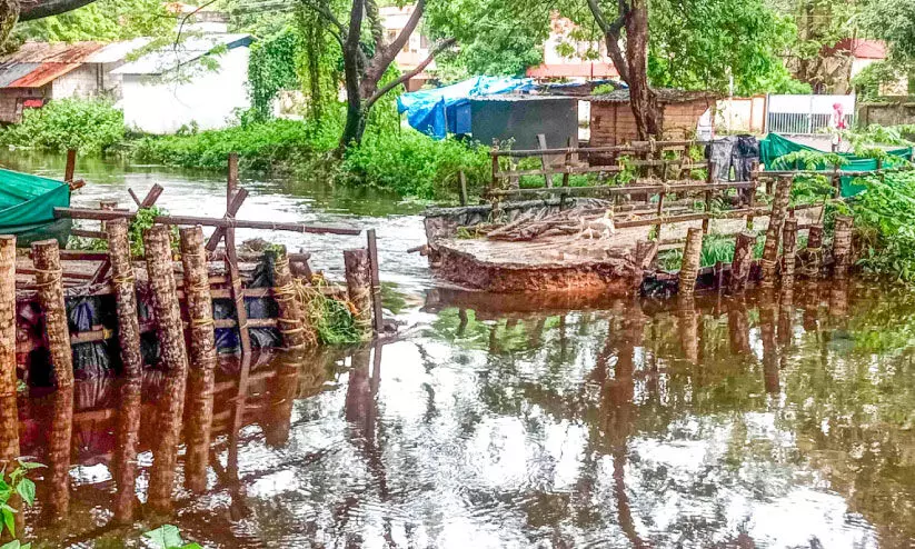 ചേർത്തലയിൽ താഴ്ന്ന പ്രദേശങ്ങളിൽ വെള്ളക്കെട്ട്