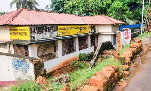 മൃഗാശുപത്രിയുടെ മതിൽ അപകടാവസ്ഥയിൽ