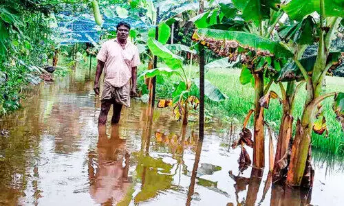 ഇടവിട്ട്​ മഴ; ഇടതടവില്ലാതെ ആശങ്ക
