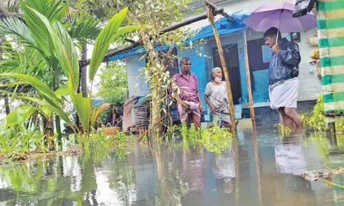 waterlogging waterlogging